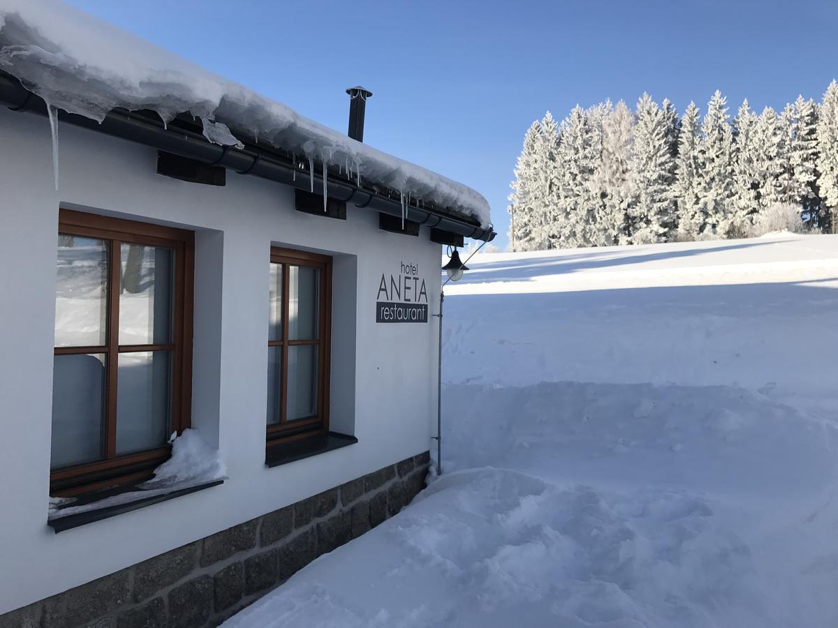 Aneta Hotel&Restaurant Vitkovice Bagian luar foto